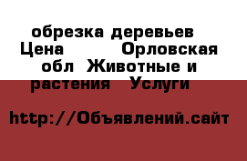 обрезка деревьев › Цена ­ 500 - Орловская обл. Животные и растения » Услуги   